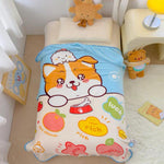 Baby AC Blanket