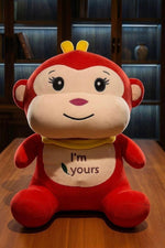 Toy Cum Blanket