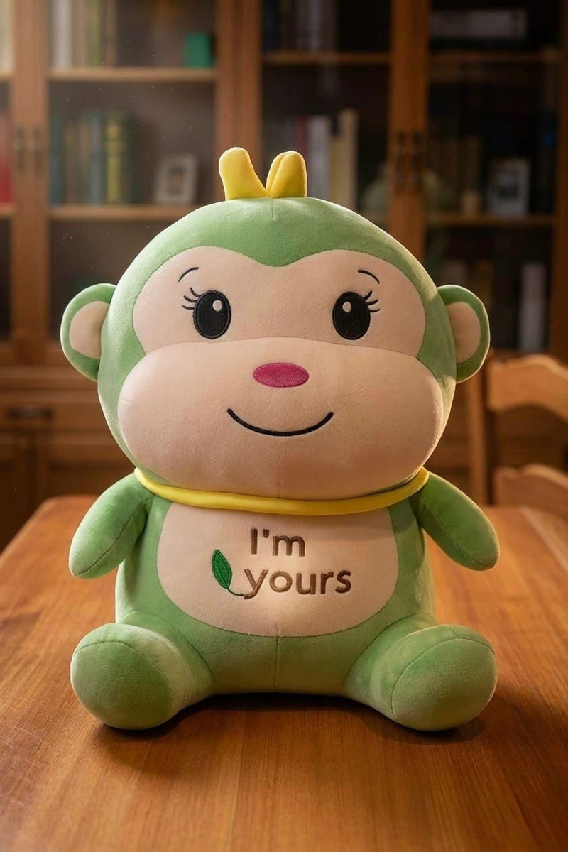 Toy Cum Blanket